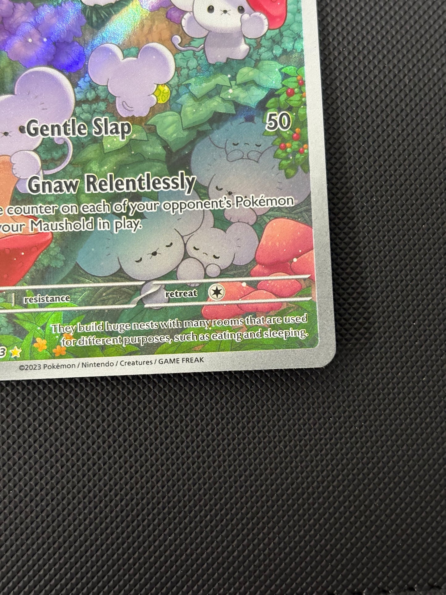 PAL Maushold IR 226/193 Paldea Evolved Pack Fresh